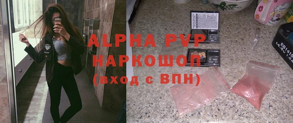 прущие грибы Балабаново