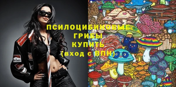синтетический гашиш Белокуриха