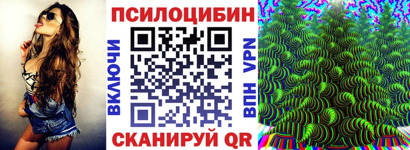 мега зеркало  закладки  Кимовск  даркнет телеграм  Псилоцибиновые грибы прущие грибы 